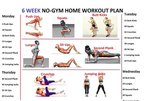 Minute Daily Workout Routine At Home Build Muscle For Women Fitness And Workout Abs Tutorial