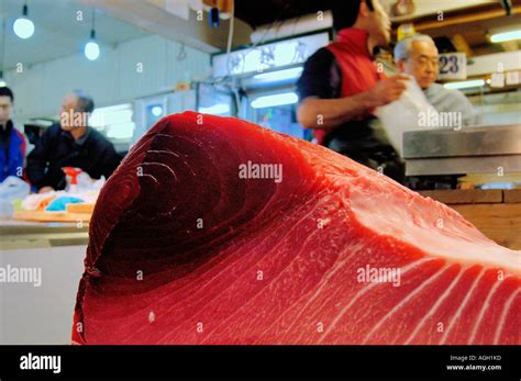 Fresh Tuna Fish Fish Market Tokyo Japan Stock Photo Alamy