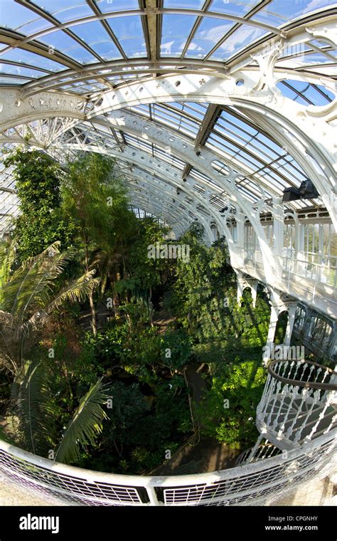 Temperate House Interior Kew Royal Botanic Gardens London England