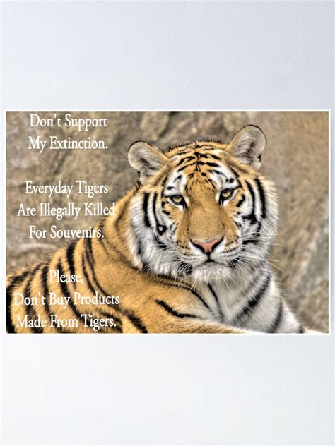 Save Tiger Poster For Kids