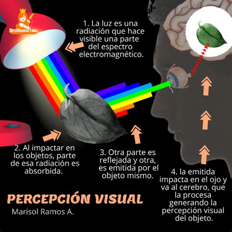 Psicología Del Color En Marketing Digital La Guía Más Práctica Blog