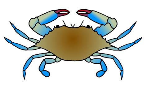 Collection Of Blue Crab Clipart Free Download Best Blue Crab Clipart