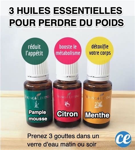 3 Huiles Essentielles Efficaces Pour Perdre Du Poids Naturellement