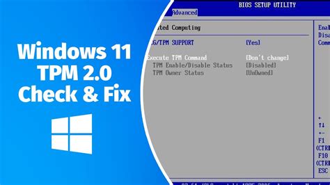 What Is A Tpm How To Check And Enable Tpm 20 For Windows 11 Complete
