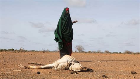 “deito Me E Não Consigo Dormir” Seca E Guerra Na Ucrânia Aumentam A Crise Alimentar Na Somália