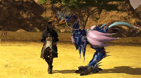 Sephirotic Barding Ffxiv Ffxiv Chocobo Barding Guide Late To The