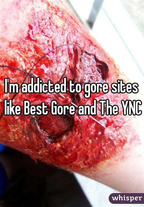 Gore video gangster use machette. I'm addicted to gore sites like Best Gore and The YNC