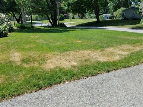 Drought Conditions Affecting Your Lawn Fresh Lawn Care