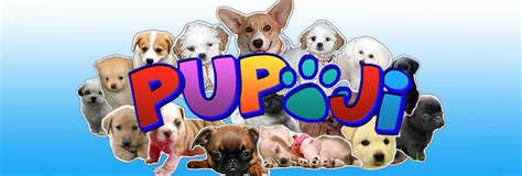 Additionally, if your puppy breathes fast even when he is awake, then that means that even though it is common for puppies to breathe fast when they sleep, it is not normal if that fast breathing is. Pupoji