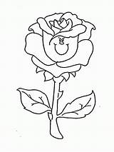 Coloring Rose Roses Printable sketch template