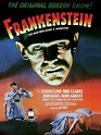 Frankenstein (1931) - Rotten Tomatoes