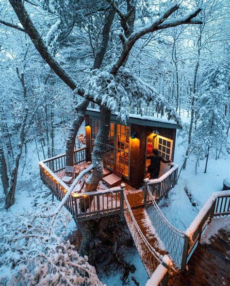 17 Unbelievably Amazing Treehouse Ideas That Will Inspire You Artitexture