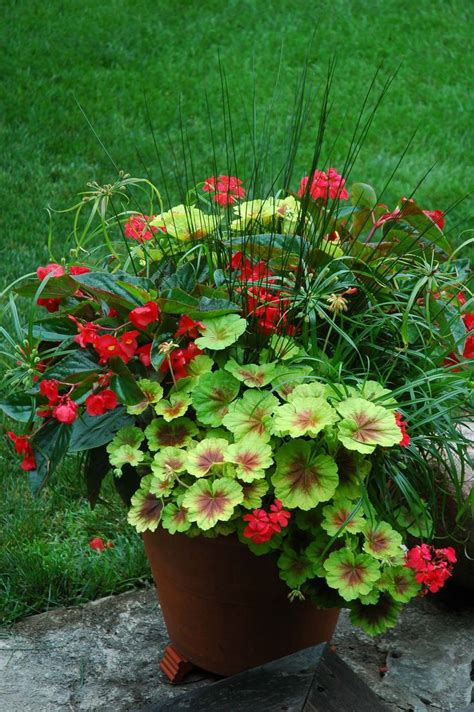 700 Best Images About Container Gardening Ideas On