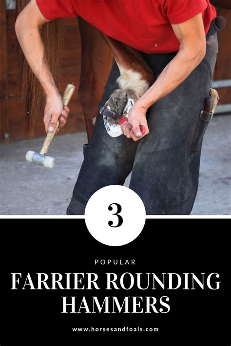 What Is The Best Farrier Rounding Hammer On The Market Farrier