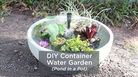 Diy Container Water Garden Pond In A Pot