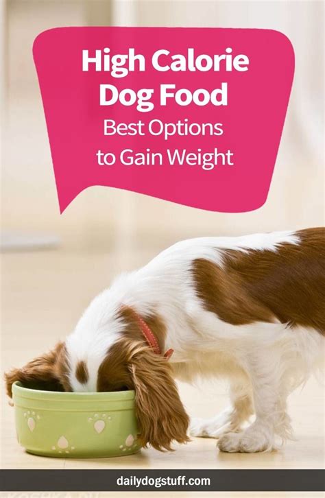 May pet owners resort to best puppy food for weight gain. High Calorie Dog Food - Best Options to Gain Weight ...