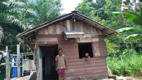 Rumah Papan Sederhana 49 Koleksi Gambar