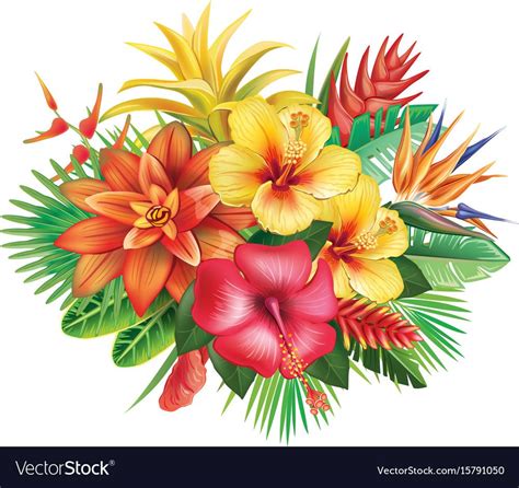 Arrangement From Tropical Flowers Download A Free Preview Or High