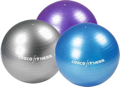 Cosco Gym Balls 75 Cm Efit