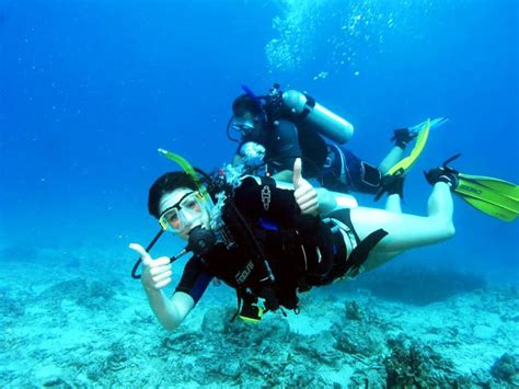 Scuba Diving Watersports In Malvan Goa Day Trips Scuba Diving