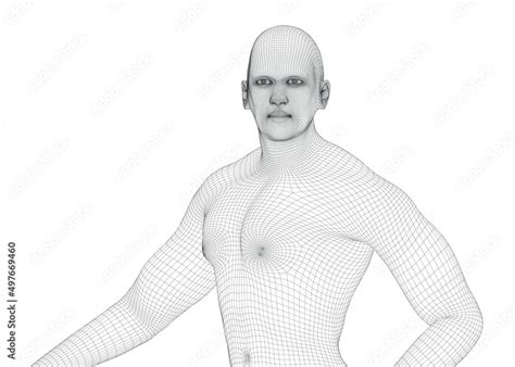 Beautiful Naked Man Poses Male Body D Wireframe Vector Stock Vector