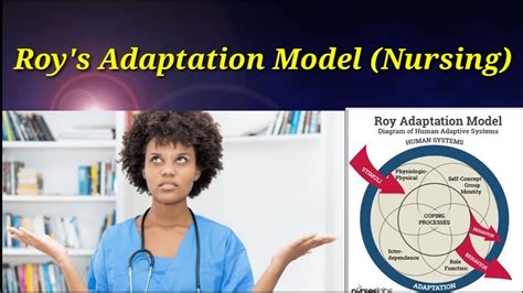 Roys Adaptation Model Callista Roy Model Nursing Theory