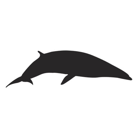 Whale Silhouette Transparent Png And Svg Vector File