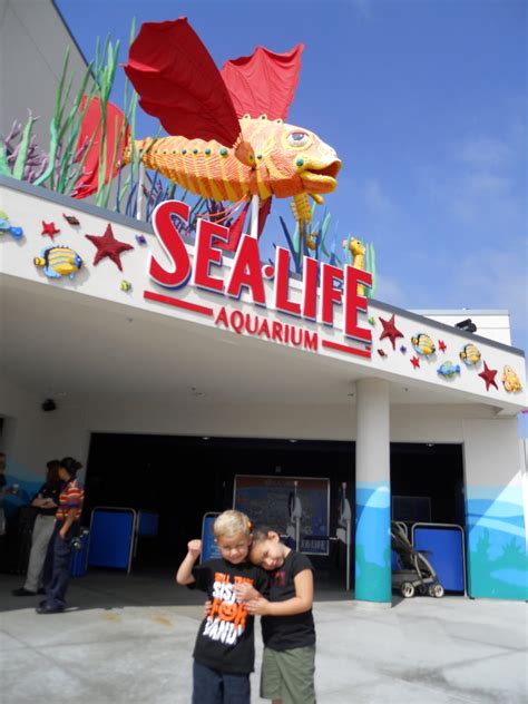 Life With Emma Grace Legoland Sealife Aquarium 102011