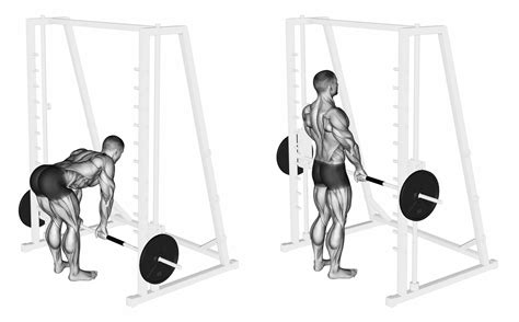 Smith Machine Stiff Leg Deadlift Bodyweight Workout Beginner Weight