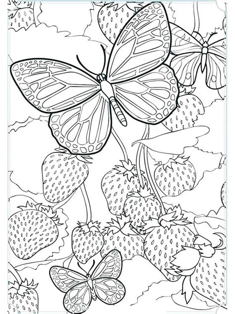 Download 100 images for coloring. Free Butterfly coloring pages for Adults. Printable to Download Butterfly coloring pages.