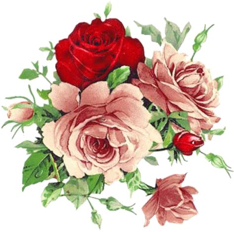Beautiful Roses Roses Vintage Roses Flowers Vintage Flowers