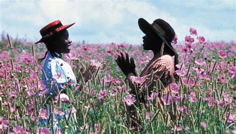 Did You Know 10 Little Known Facts About The Color Purple [gallery]