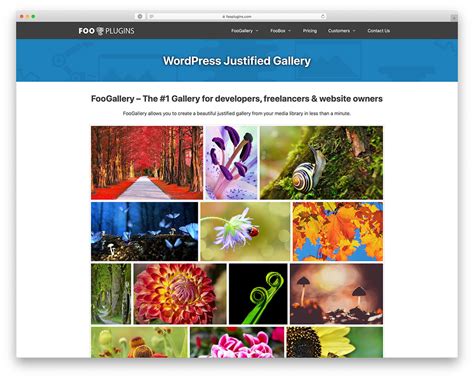 15 best wordpress gallery plugins for free 2023 colorlib