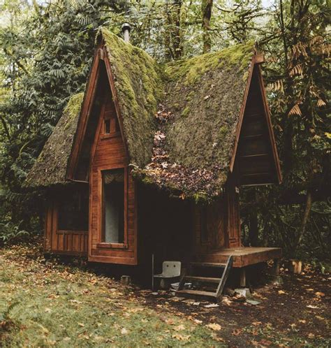 Cool cabin in a forest, Washington State : r/CozyPlaces