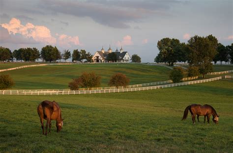 Bluegrass Beauties Kentucky Horses And Farms Beautifulnow