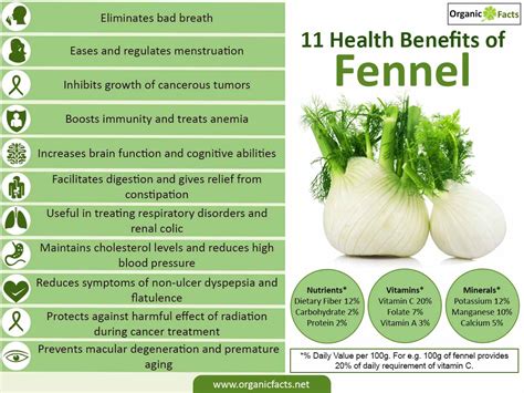 15 Impressive Fennel Benefits Organic Facts