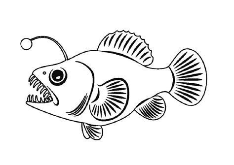 Angler Fish Sea Saltwater Fish Coloring Pages Print Color Craft