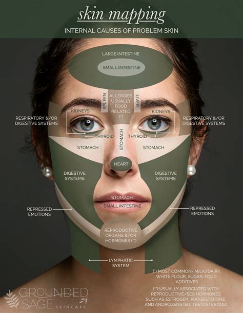Acne Face Mapping Body Acne Face Mapping Boys Acne Face Mapping