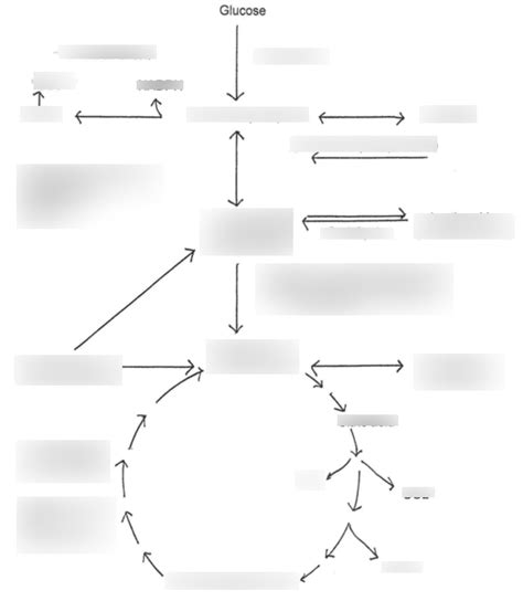 Domain 1 Diagram Quizlet