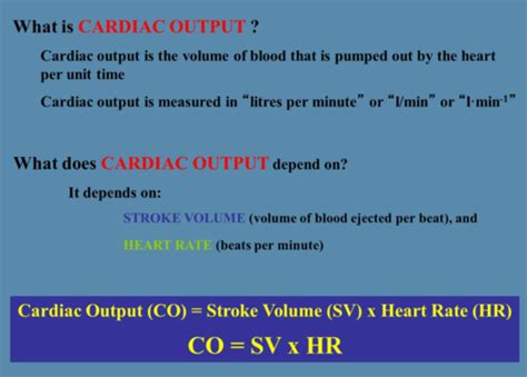 1112 Cardiac Output And Blood Pressure Flashcards Quizlet