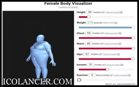 Female Body Visualizer Berikut Ini Simulasinya