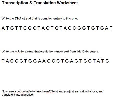 Solved Transcription Translation Worksheet Write The Dna Chegg Com
