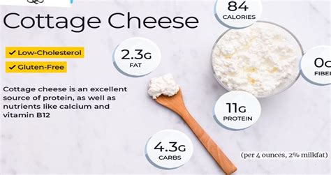 Cottage Cheese Benefits And Harms To The Body Healthy Food Near Me
