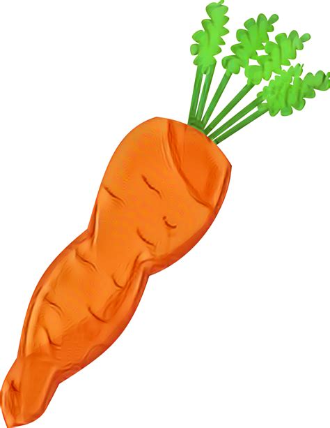 Baby carrot Clip art Vegetable Carrot salad - png download ...