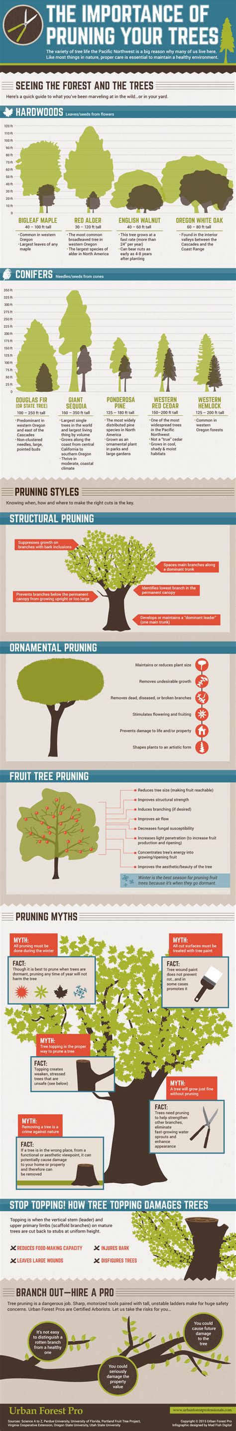 The Importance Of Pruning Your Trees Infographic Post