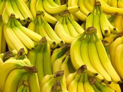 7 Types Of Bananas You Probably Didnt Know About