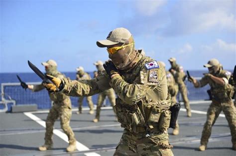 Rok Navy Udtseal Special Forces Fight Training Us Special Forces