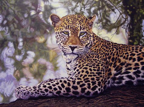 Another Leopard By Willemsvdmerwe On Deviantart