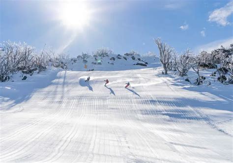 Compare Snow In Australia Australian Ski Fields Comparison