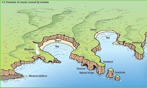 Coast Geography Geography Of Coasts Coast Diagram Features Of